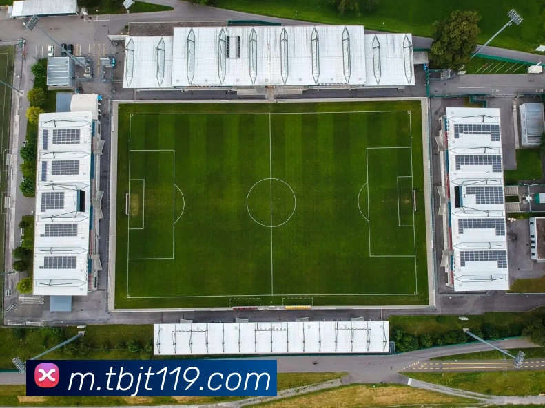 yb体育平台生态图